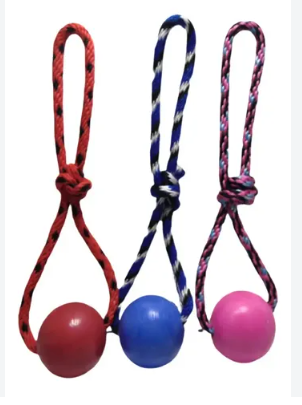 Juguete Para Perro Pelota Mini Maciza Con Lazo